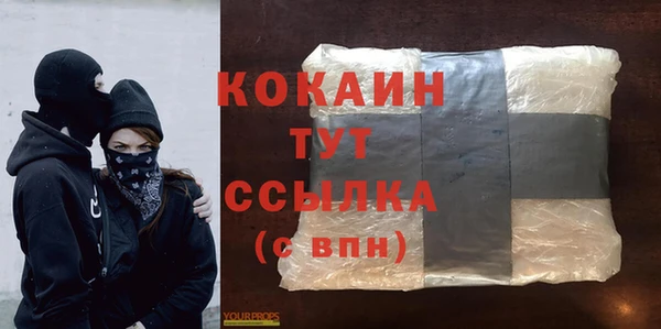 дживик Богородск
